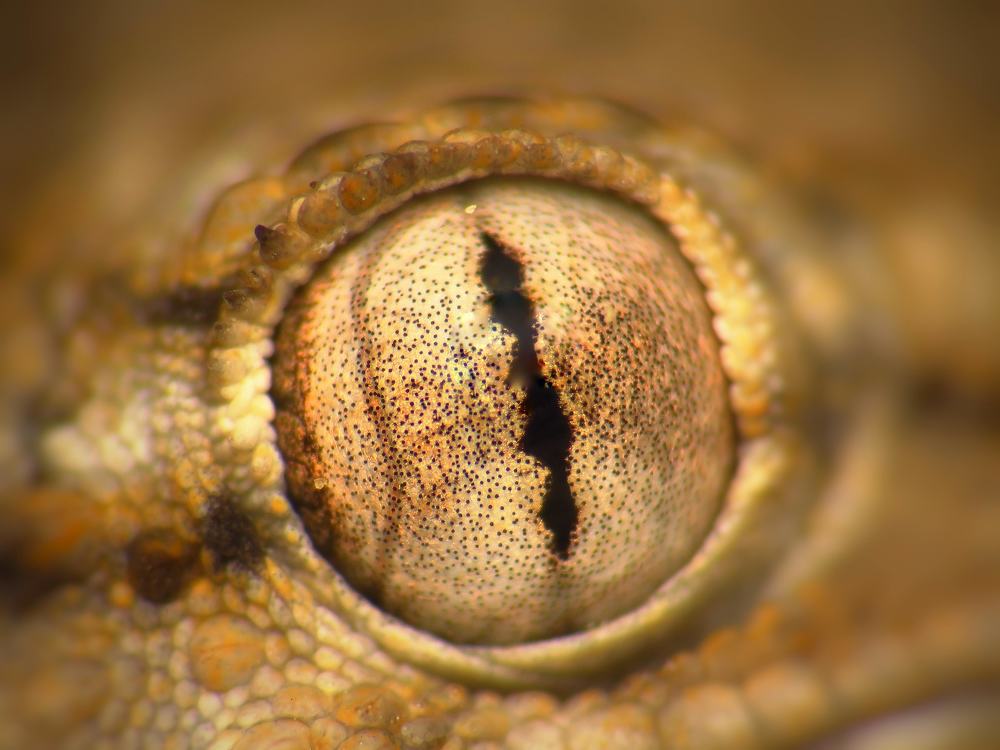 Photograph by Hugo Marques