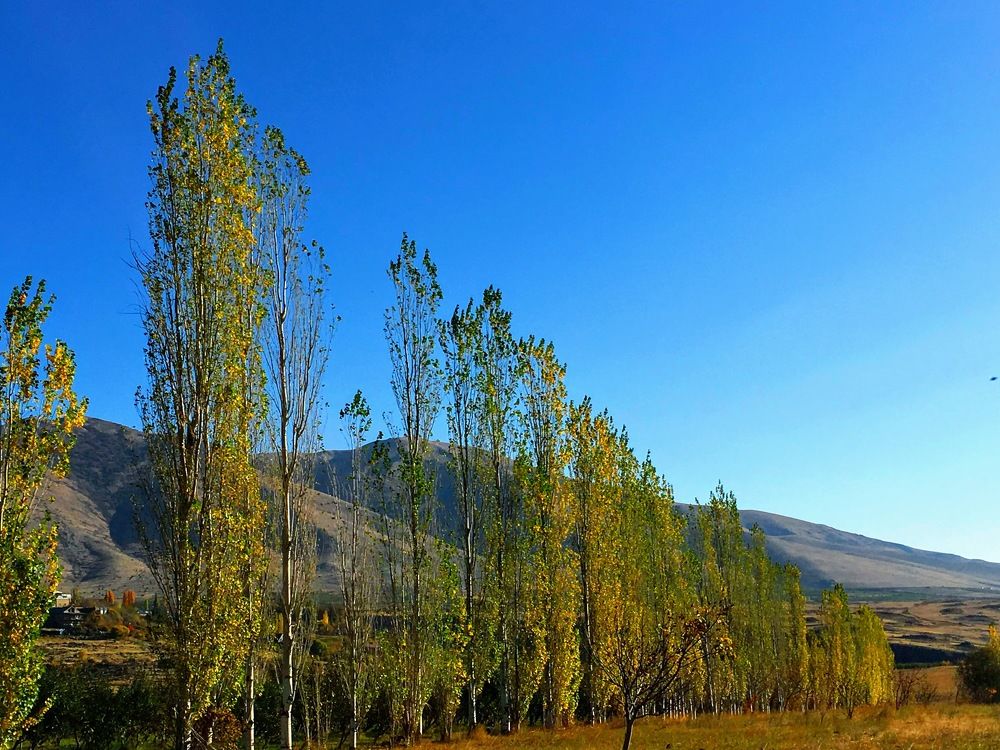 Photograph by Marine Sukiasyan