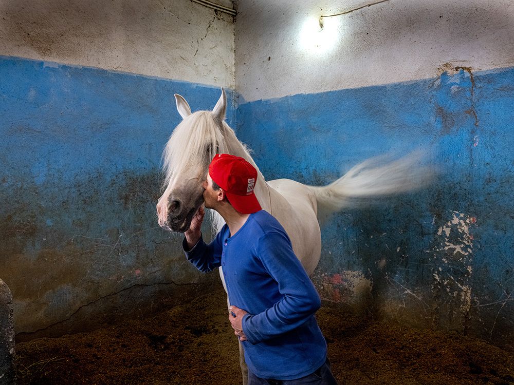 Photograph by Alireza Ahmadizadeh