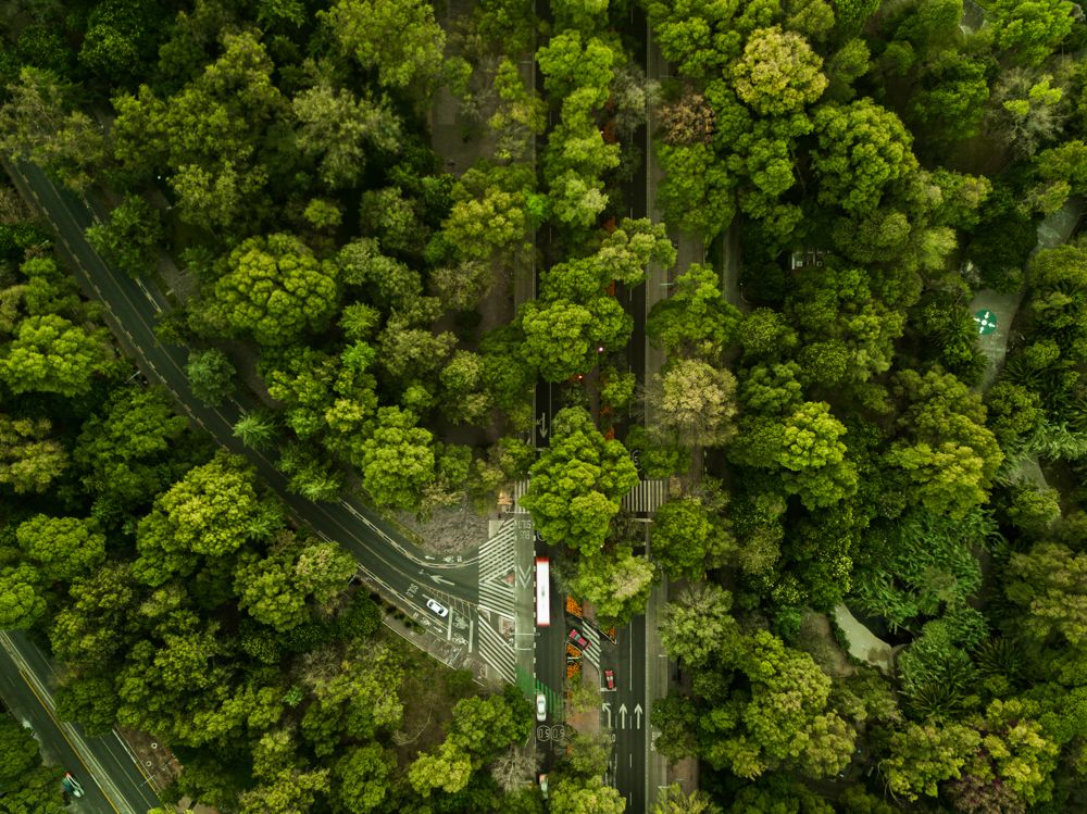 Photograph by Eduardo Esses