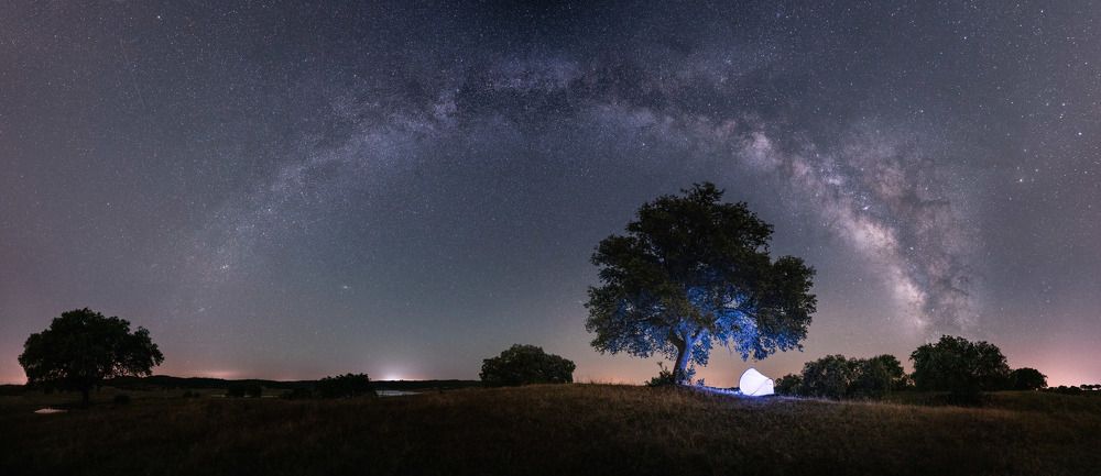 Photograph by Lopes Luis