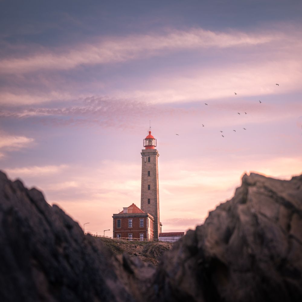 Photograph by Lopes Luis