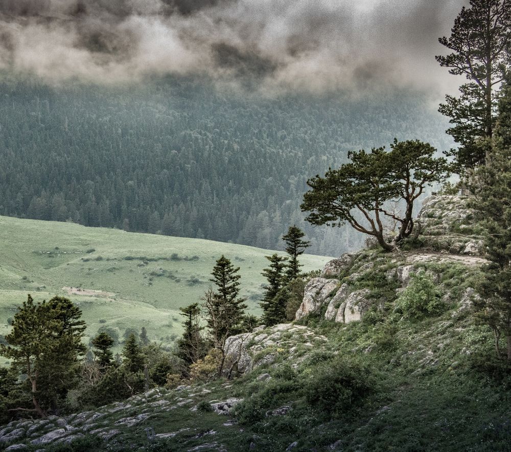 Photograph by Александр Воронов