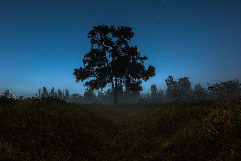 Xochimilco, an Oasis in the City