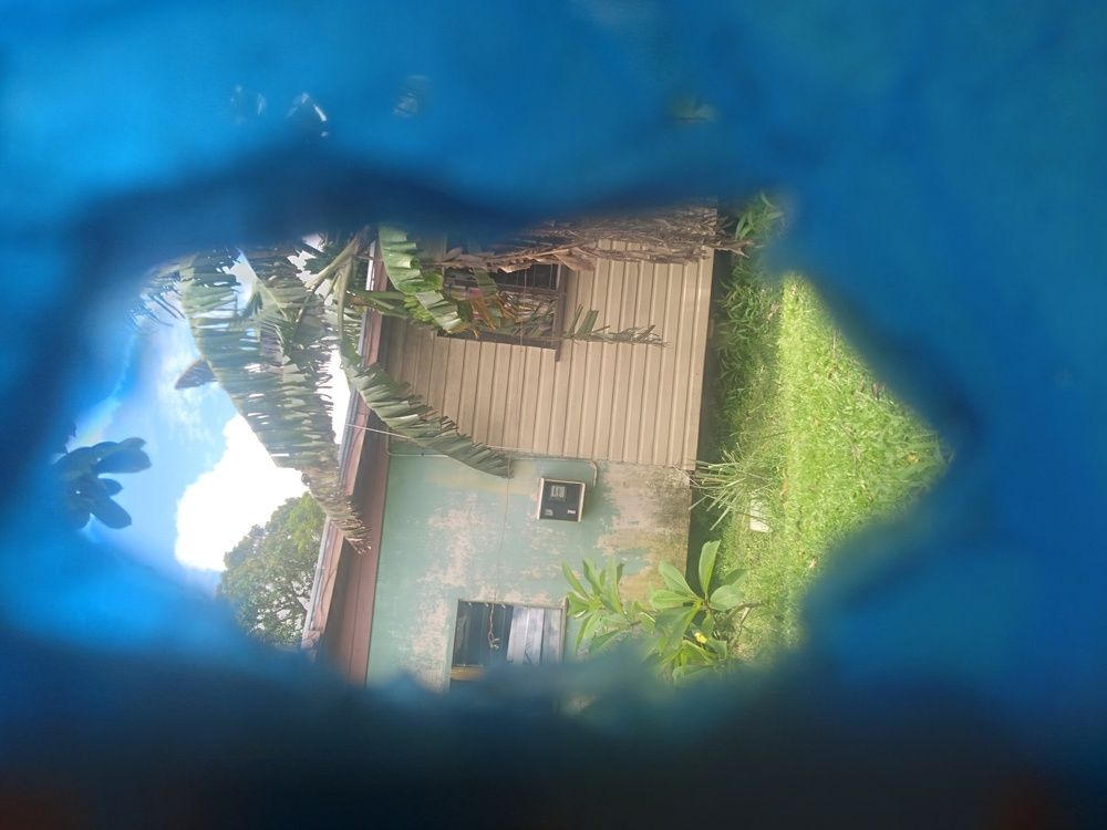 Photo #5765655