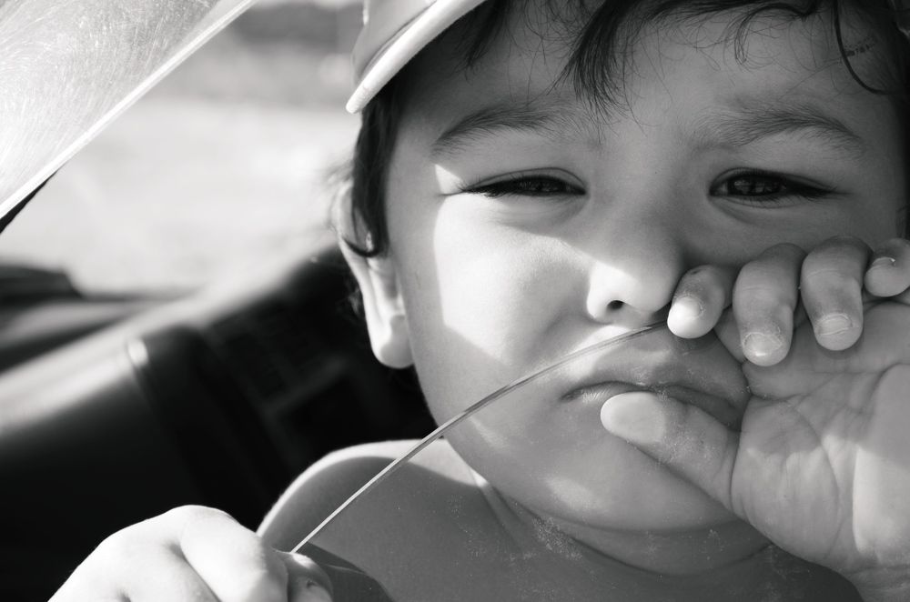 Photograph by Алла Максимович