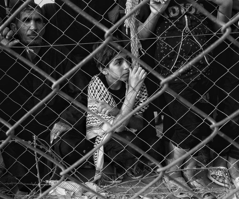 Photograph by علاء الاسدي