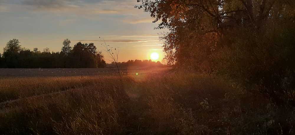 Photograph by Виталий Вяткин