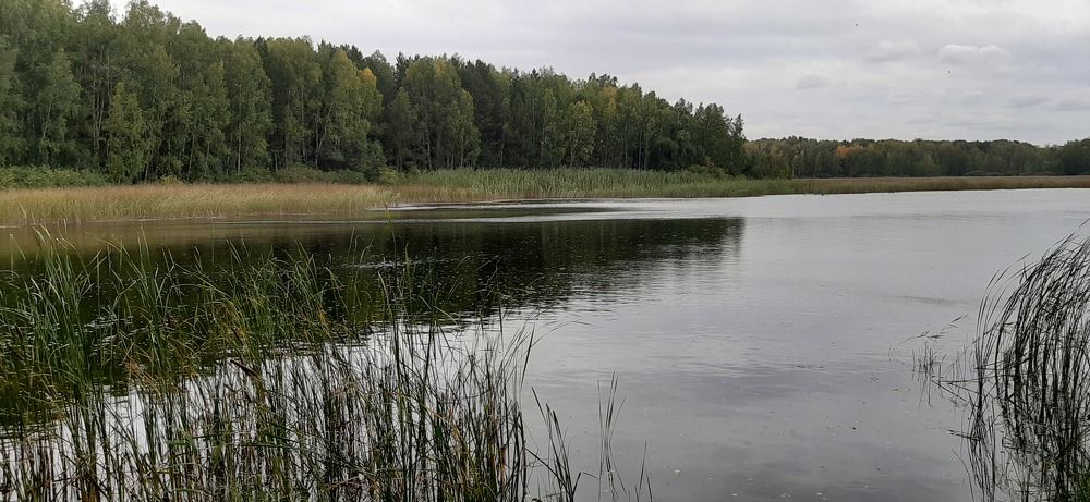 Photograph by Виталий Вяткин