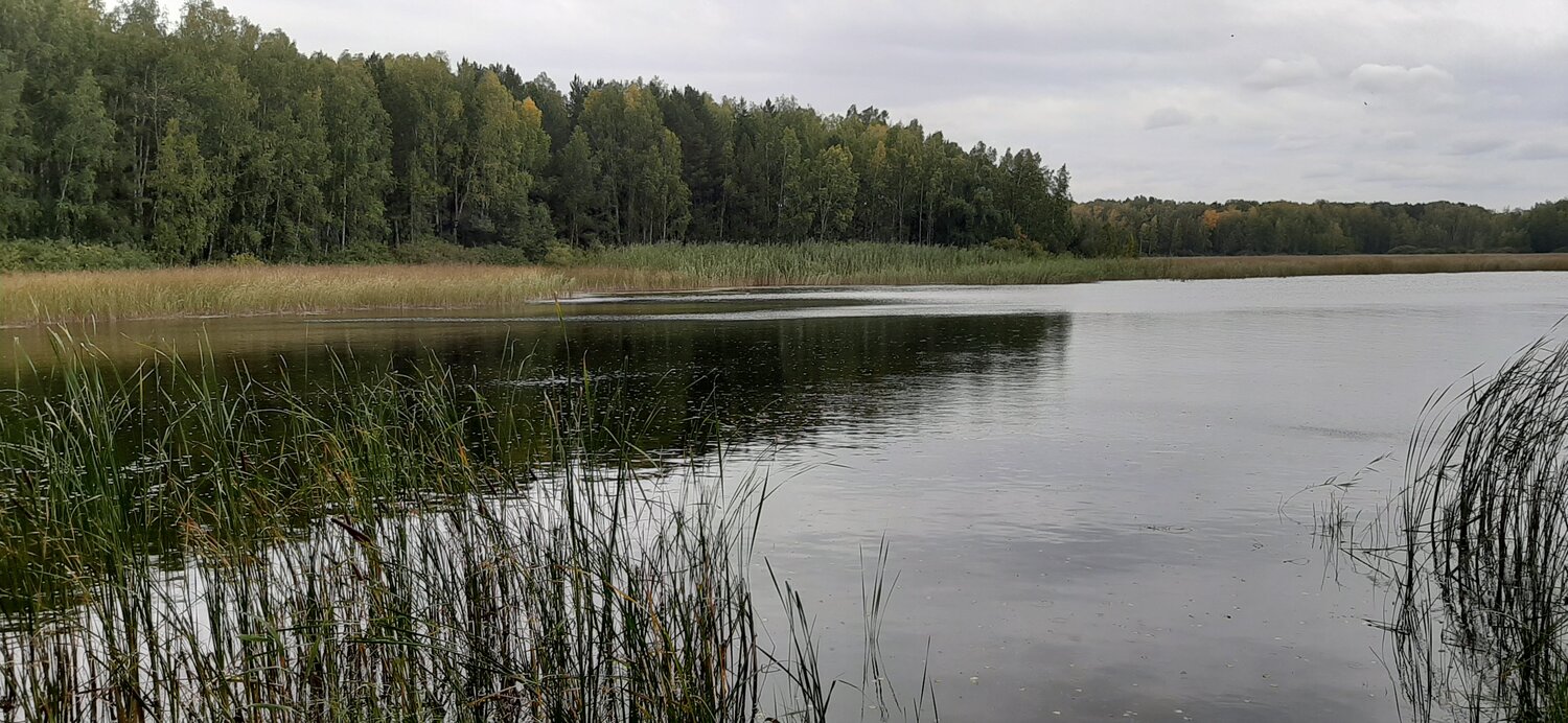 Photo #5765759