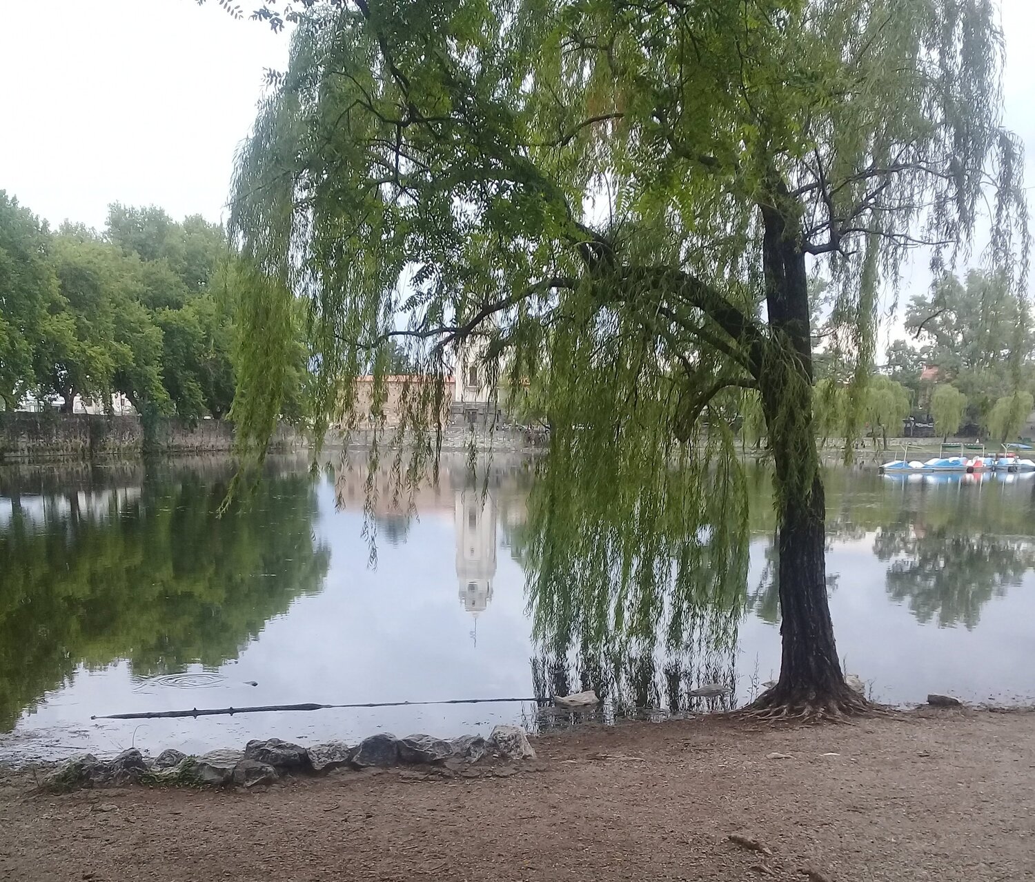 Photo #5765787