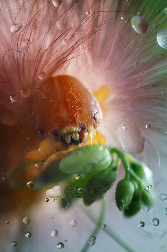 Photograph by Тамара Морозова