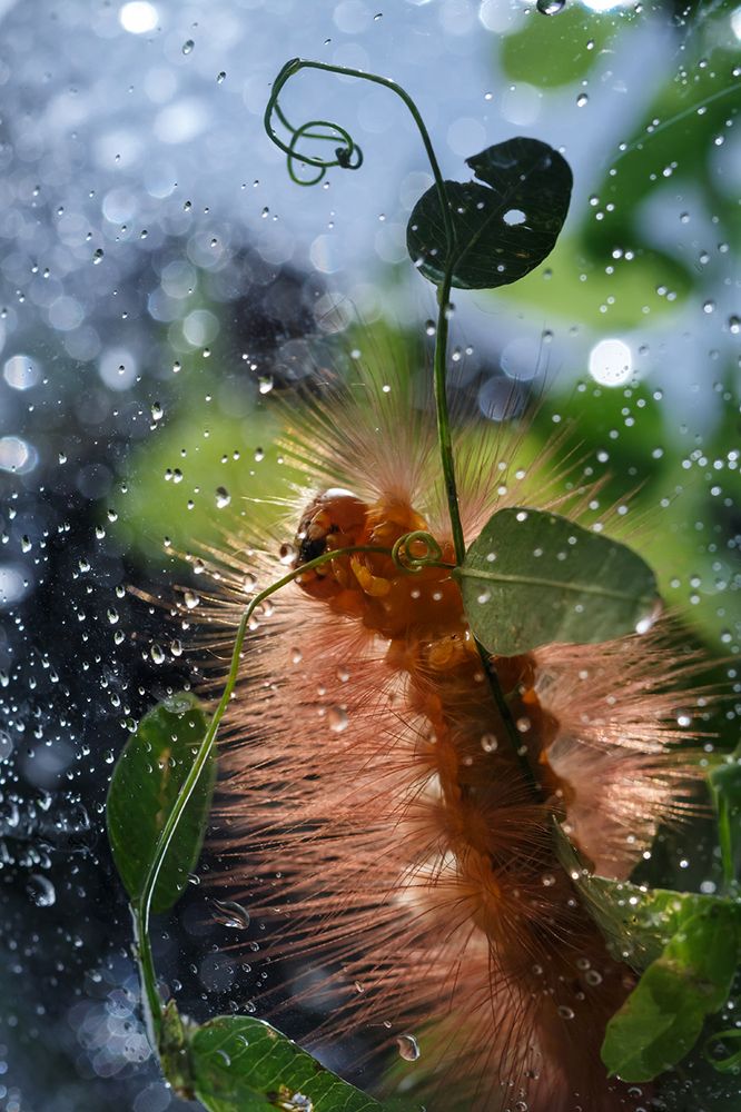 Макро реальность..