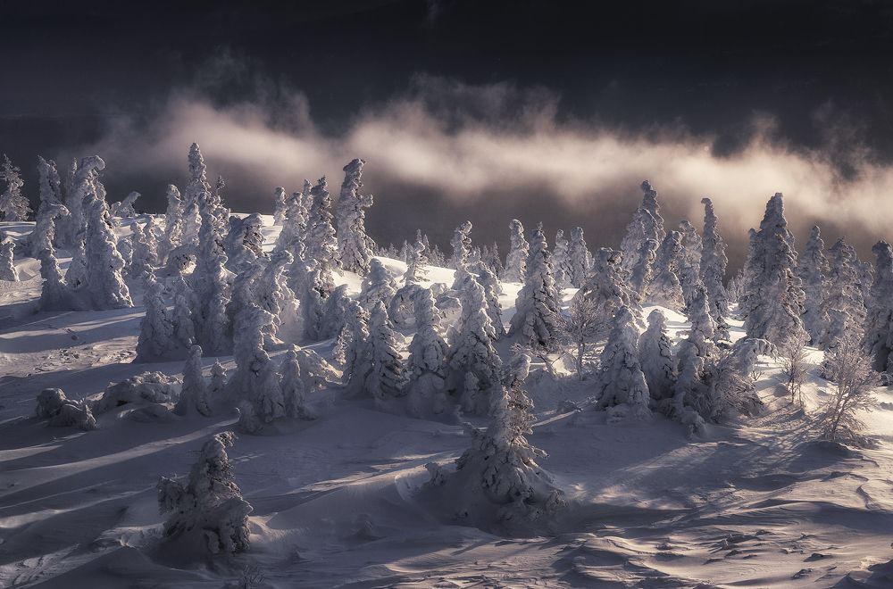 Photograph by Татьяна Бирюкова