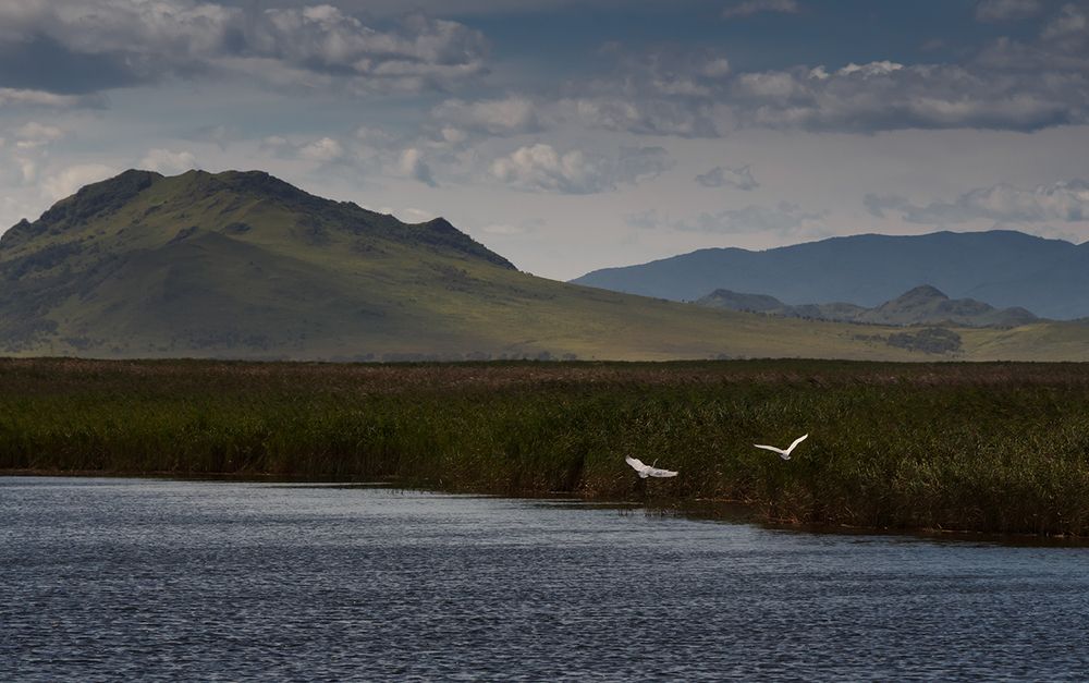 Вдохновение..