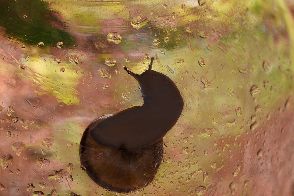 Макро реальность..