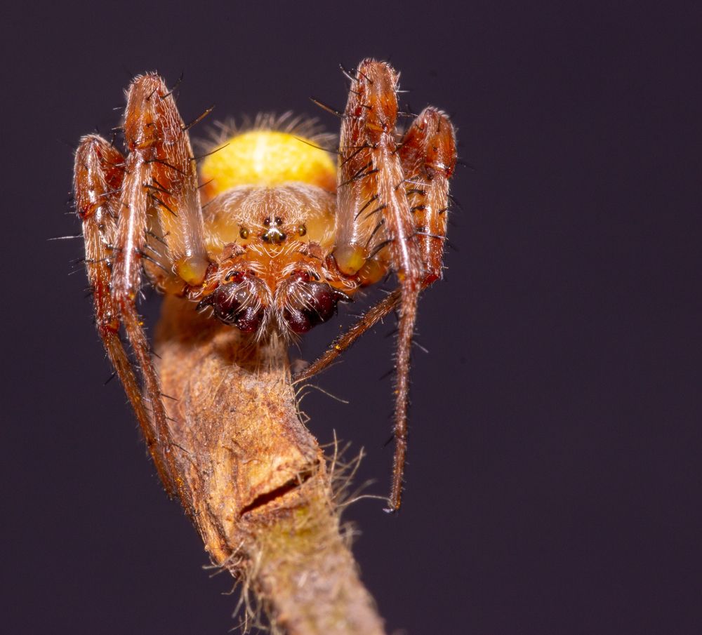 Photograph by Александр Шлюпиков