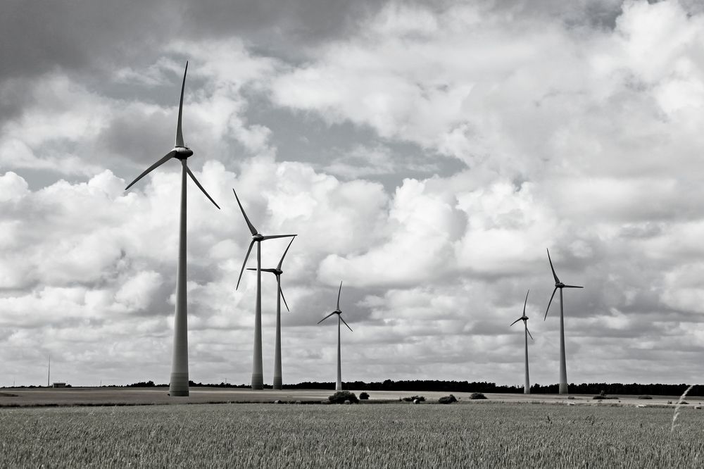 Фотография автора Сергей Барановский