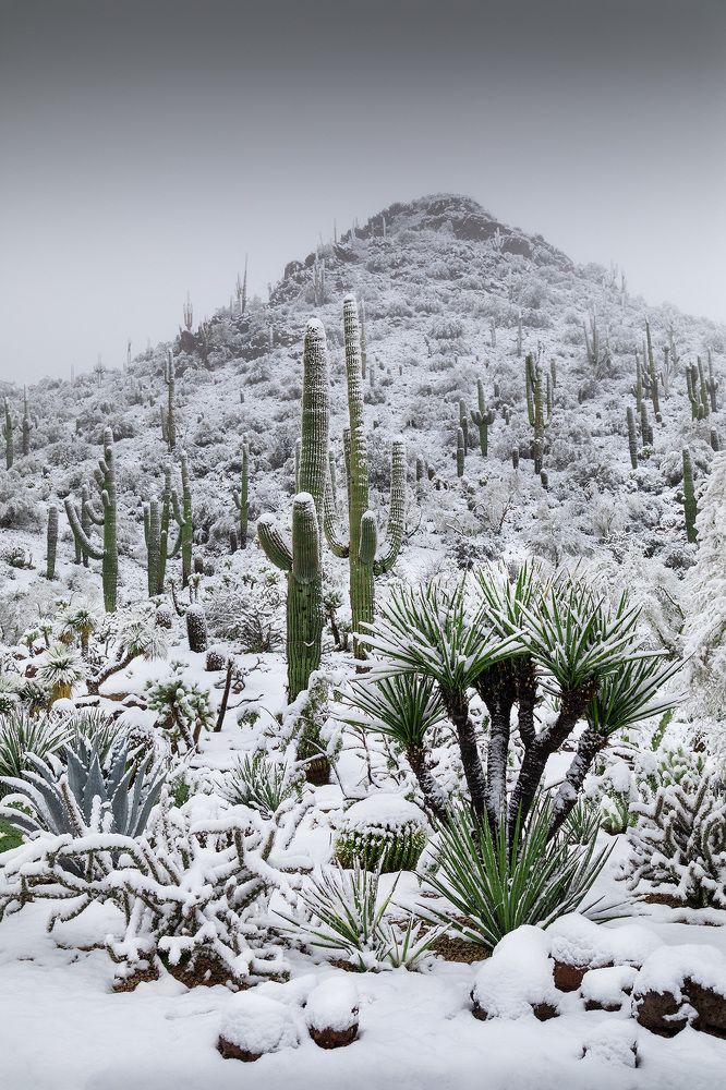 Photograph by Lana Anferow