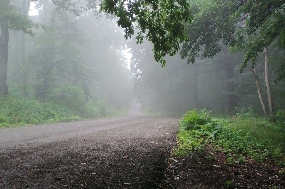 Photograph by Predrag