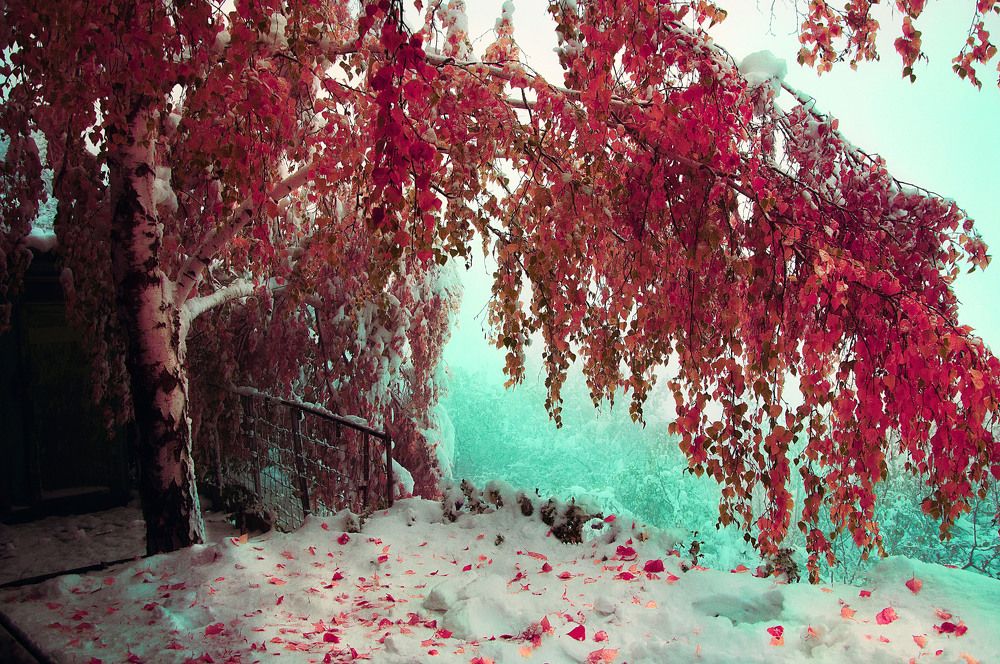 Photograph by Илья Кондрахин