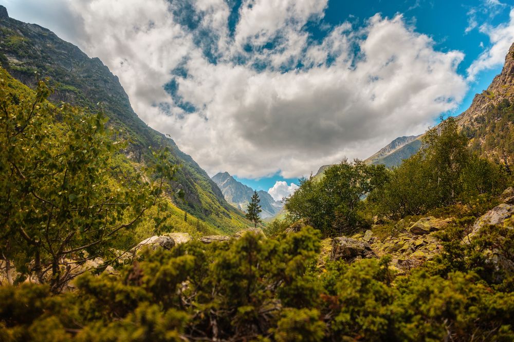 Photograph by EKATERINA WALTER