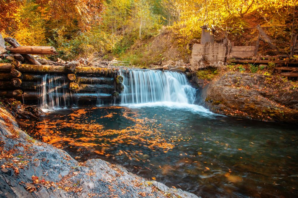 Photograph by EKATERINA WALTER