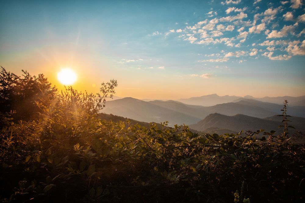 Photograph by EKATERINA WALTER