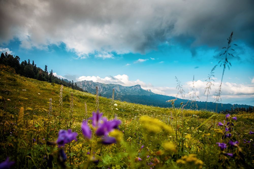 Photograph by EKATERINA WALTER