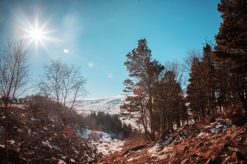 Photograph by EKATERINA WALTER