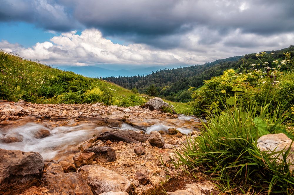 Photograph by EKATERINA WALTER