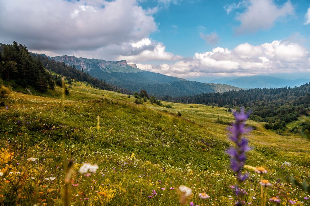 Photograph by EKATERINA WALTER