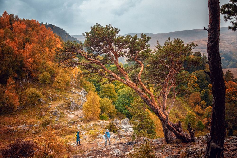 Photograph by EKATERINA WALTER