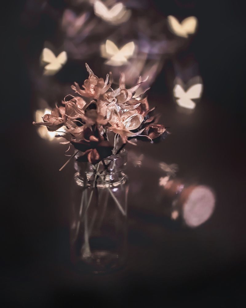 Photograph by Эльвира Курочкина