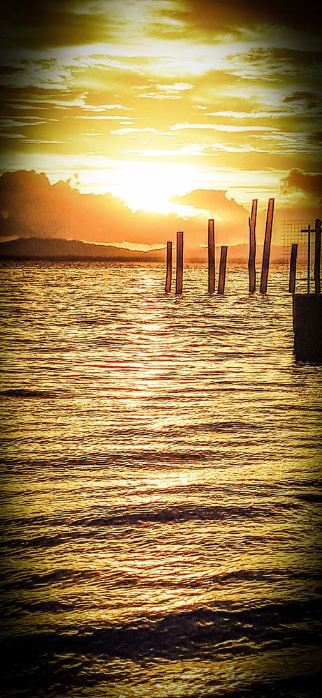 Photo #5766360