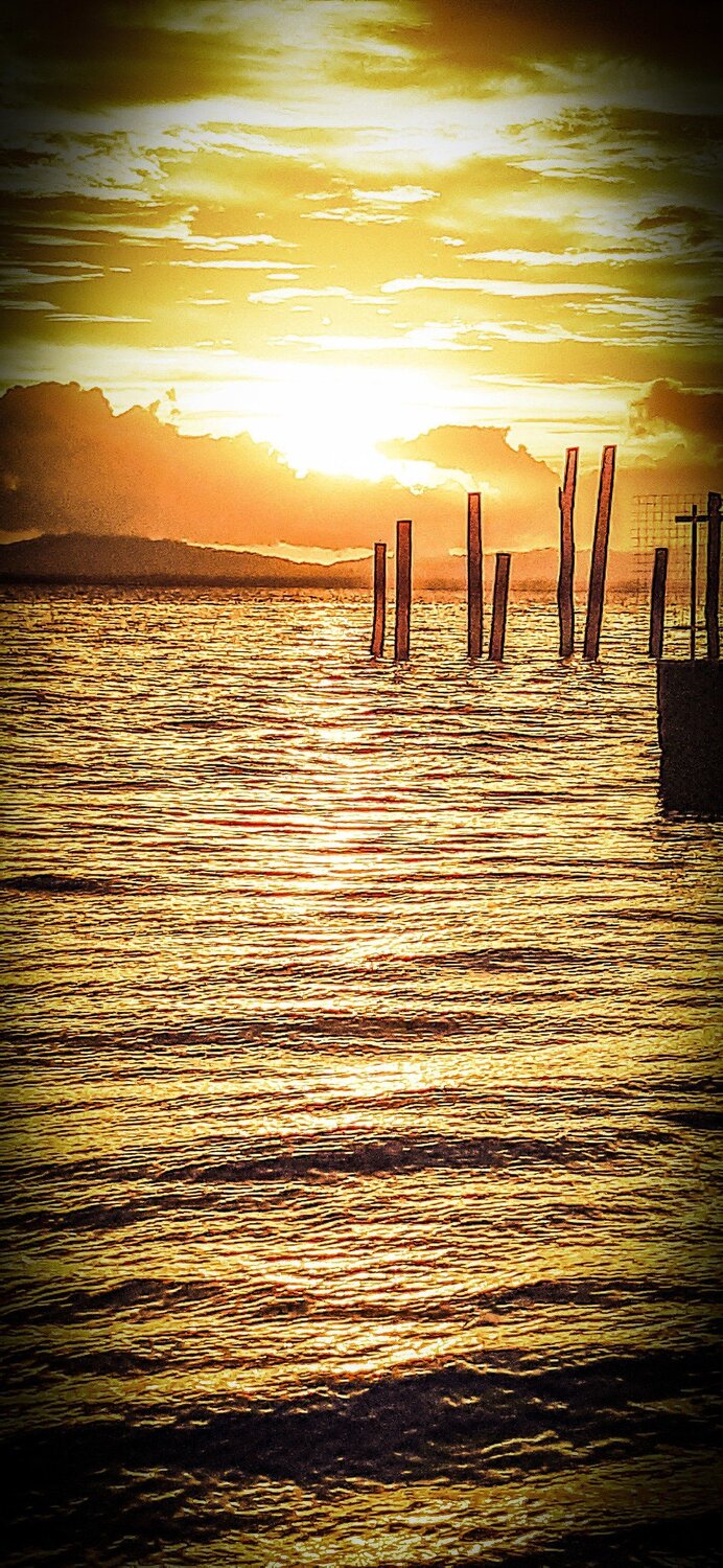 Photo #5766360