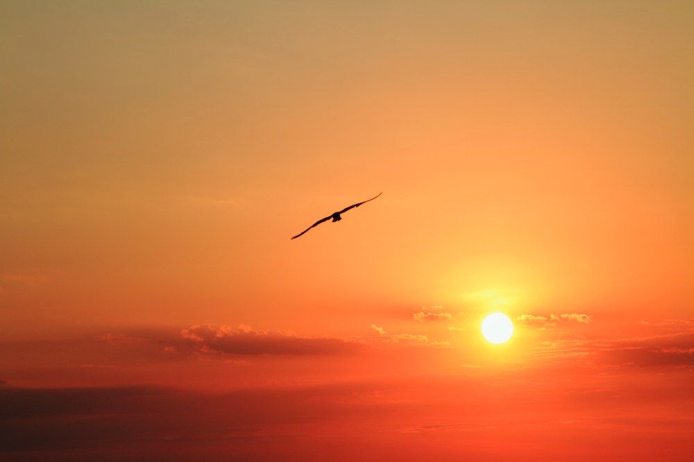 Photograph by Вадим Семенов