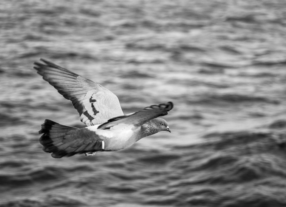 Photograph by Константин Бокарев