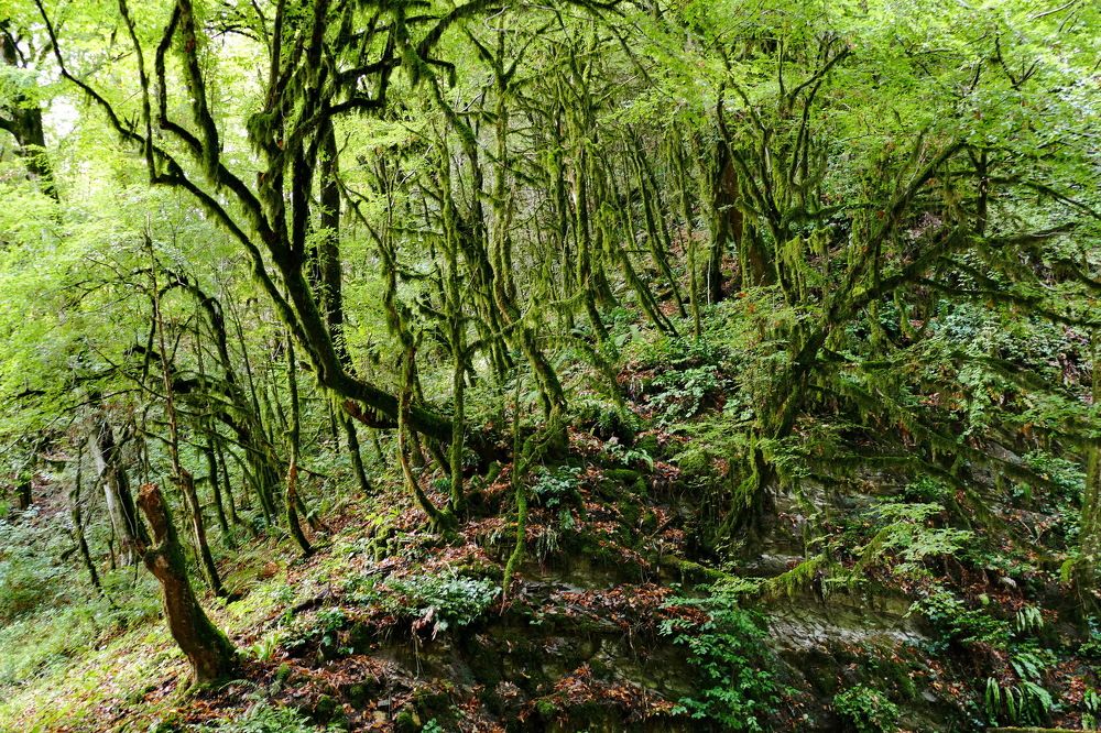 Photograph by Константин Лагоденко