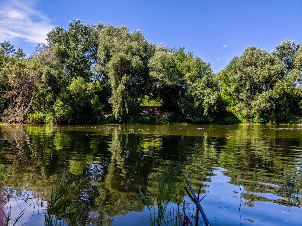 Photograph by Олександр Мирончук