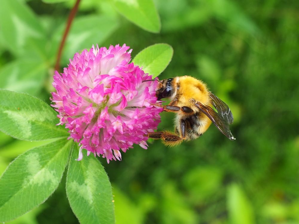 Photograph by Ольга Панкова