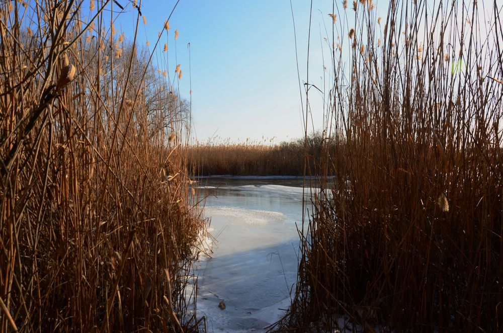 Фотография автора Ирина Якущенко