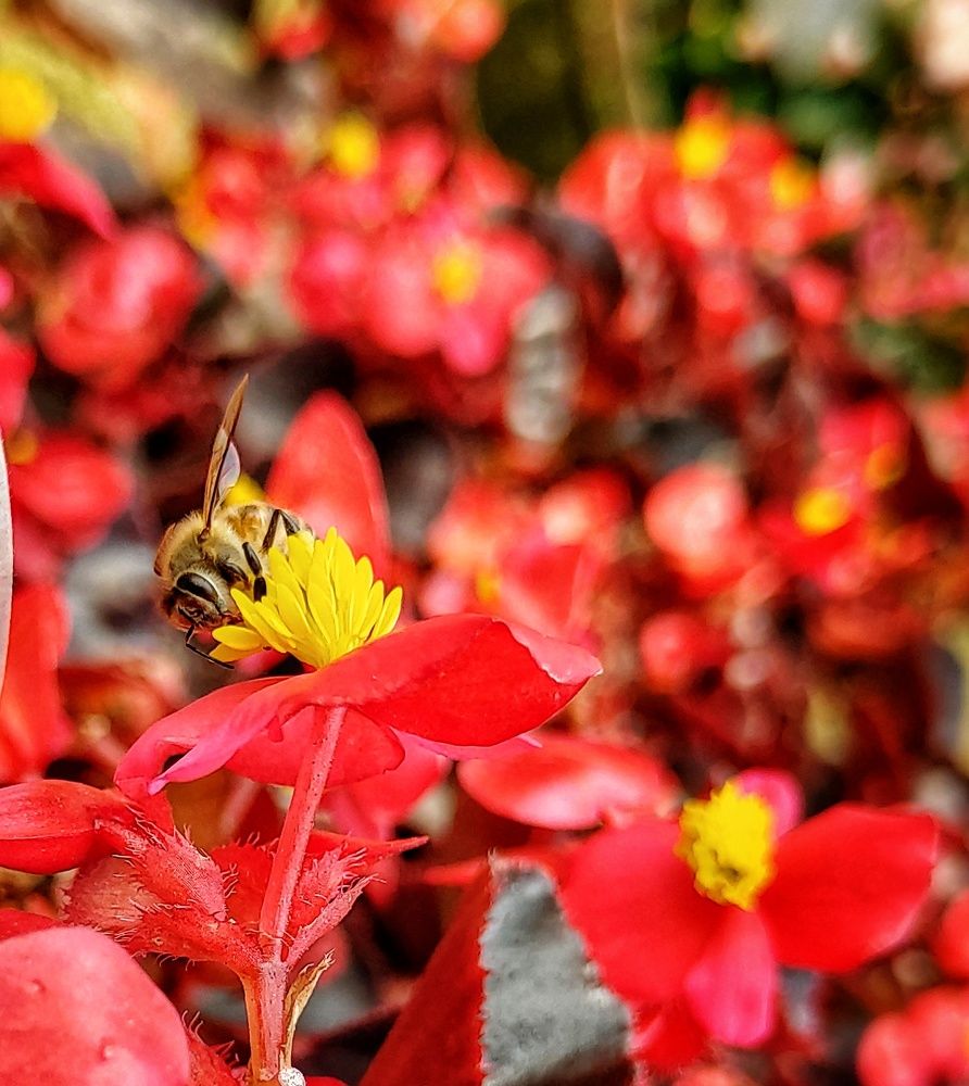 Photo #5766517