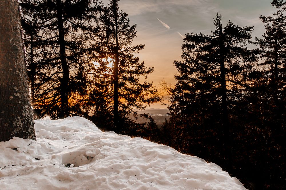 Photograph by Ирина Шутько