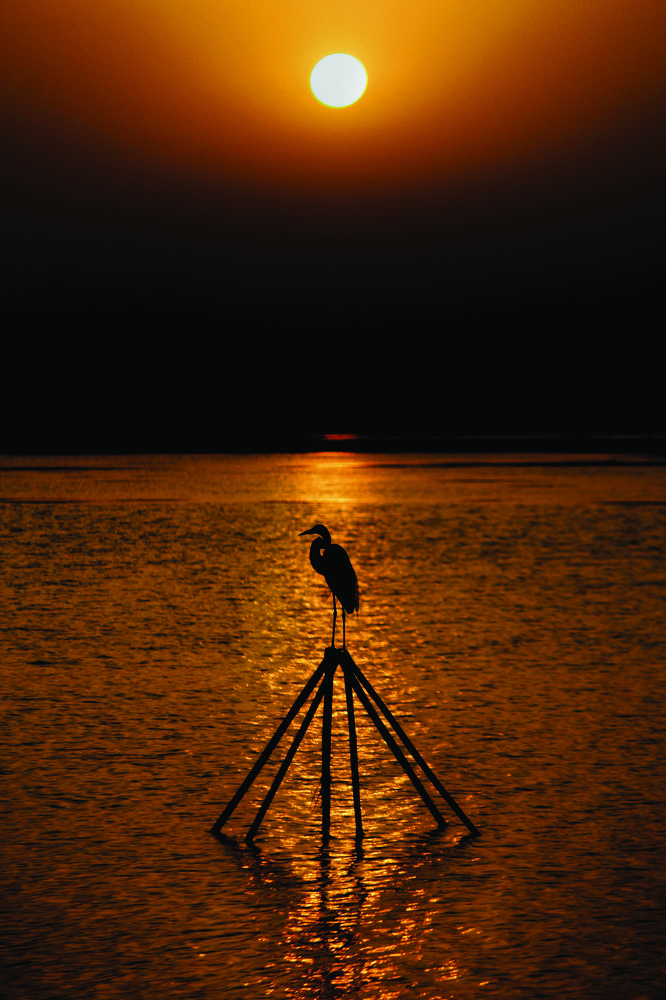 Фотография автора Navedkhan Pathan