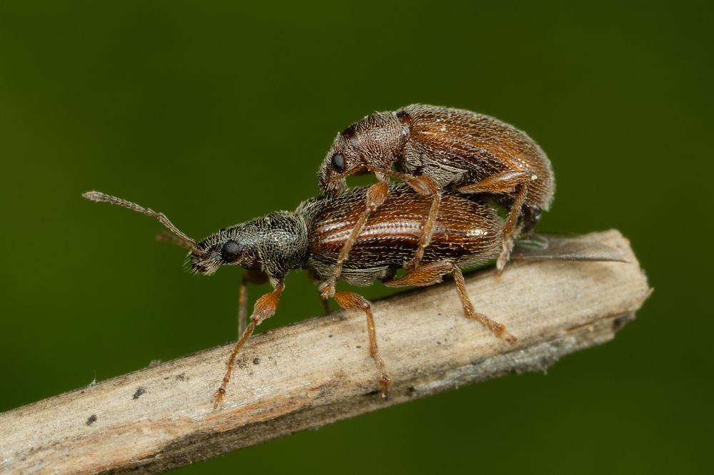 Photograph by Денис Ветренко