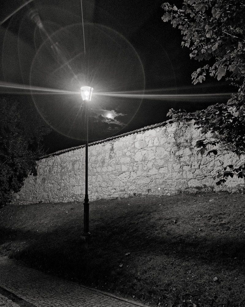 Фотография автора Iwona Moskalik