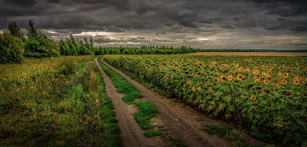 Photograph by Игорь Кляхин