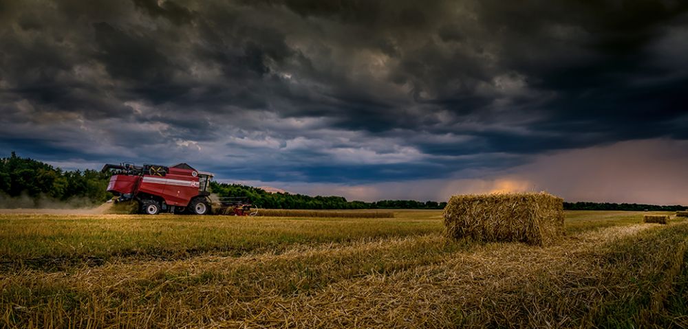 Photograph by Игорь Кляхин