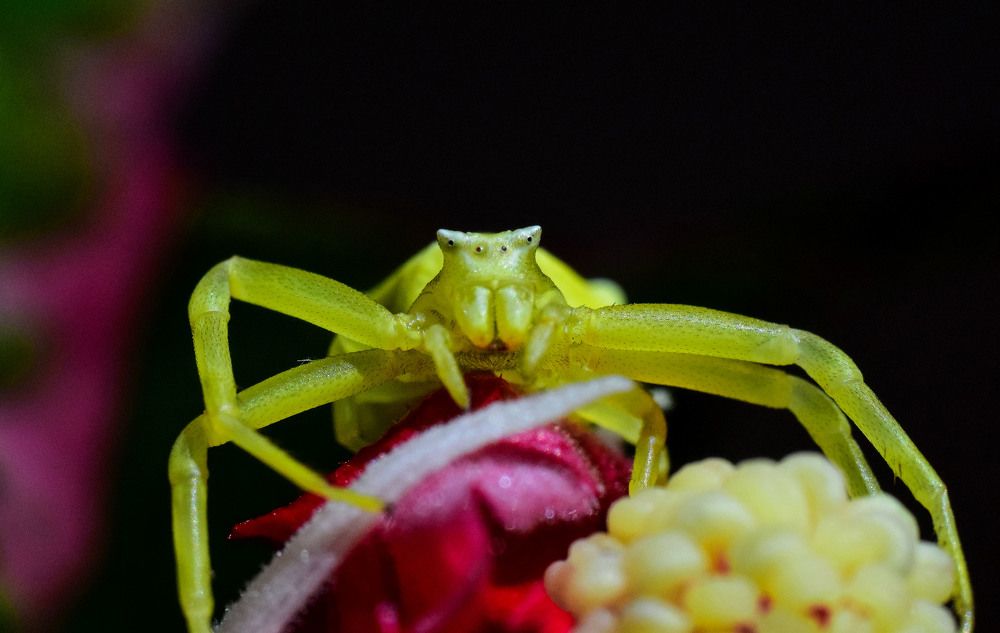 Photograph by Елена Манаева